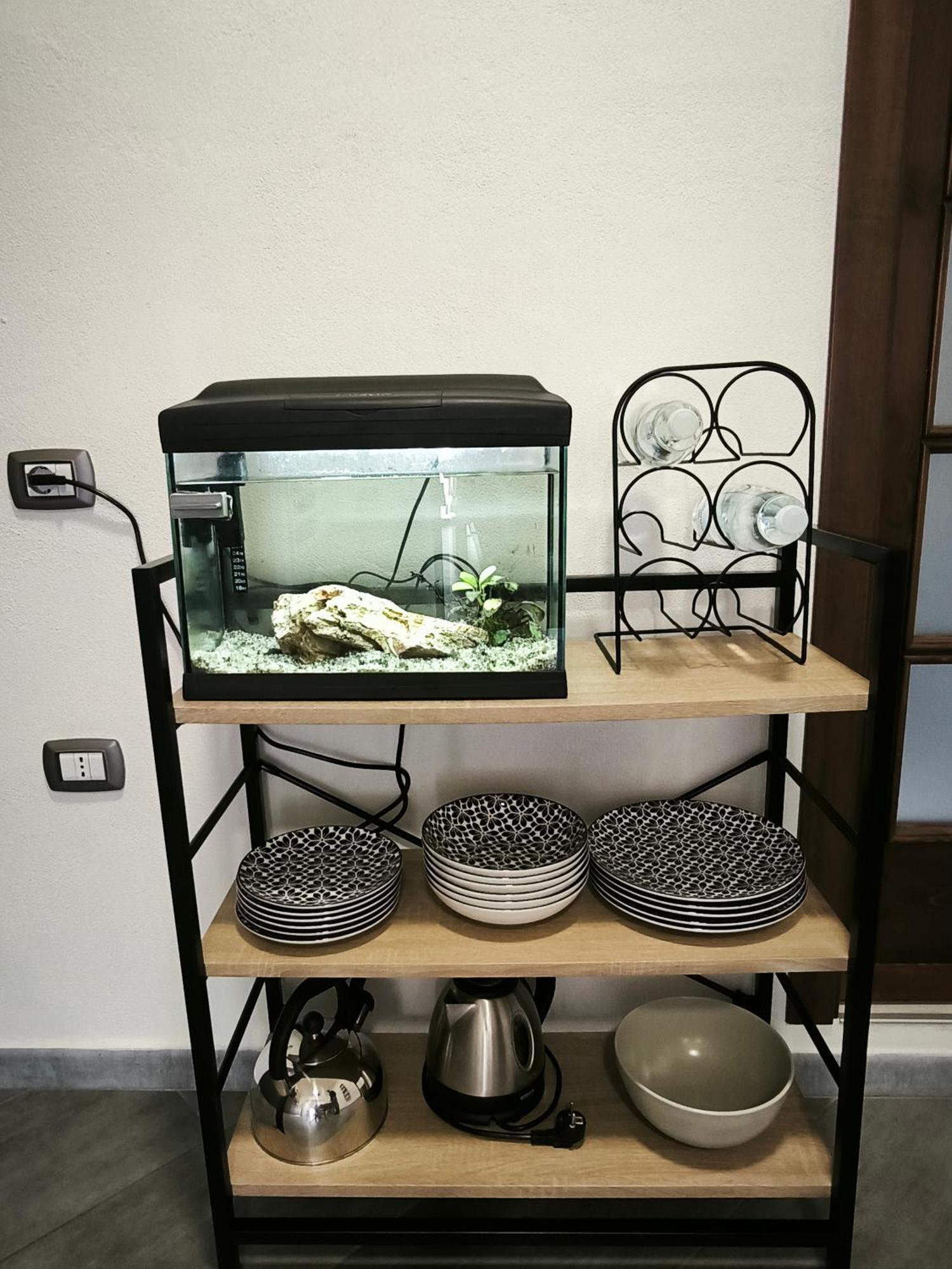Bidda Mores Appartamenti- Il Cacciatore Apartment *